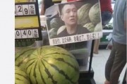 吃瓜群众在线吃瓜网,揭秘娱乐圈幕后故事